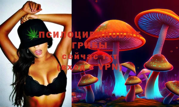 ГАЛЛЮЦИНОГЕННЫЕ ГРИБЫ Армянск