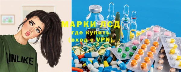 спайс Аркадак
